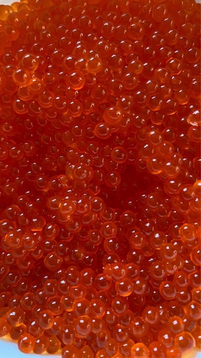 Продам красную икру горбуши