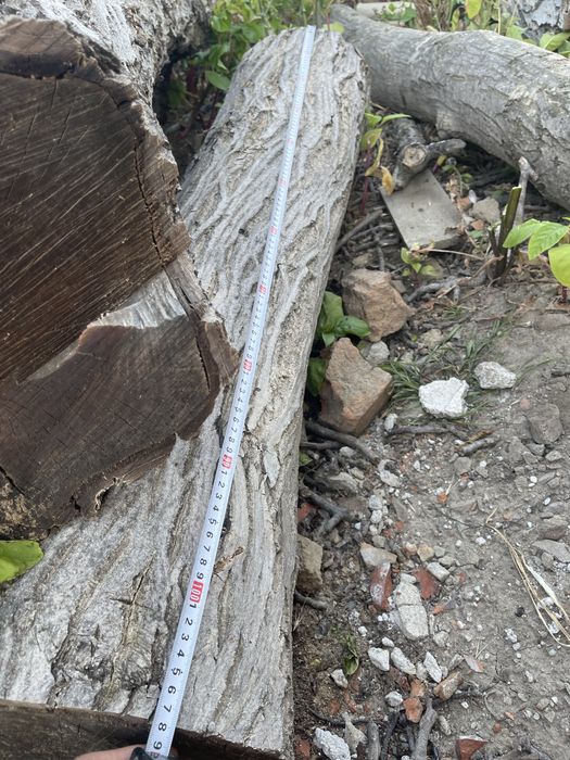 Орех-дърво на трупи