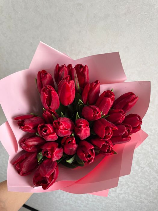 Тюльпан цветыы красивые