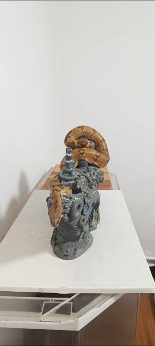 Императорский удав самка