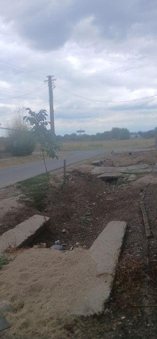 Casa de vanzare an jud arad