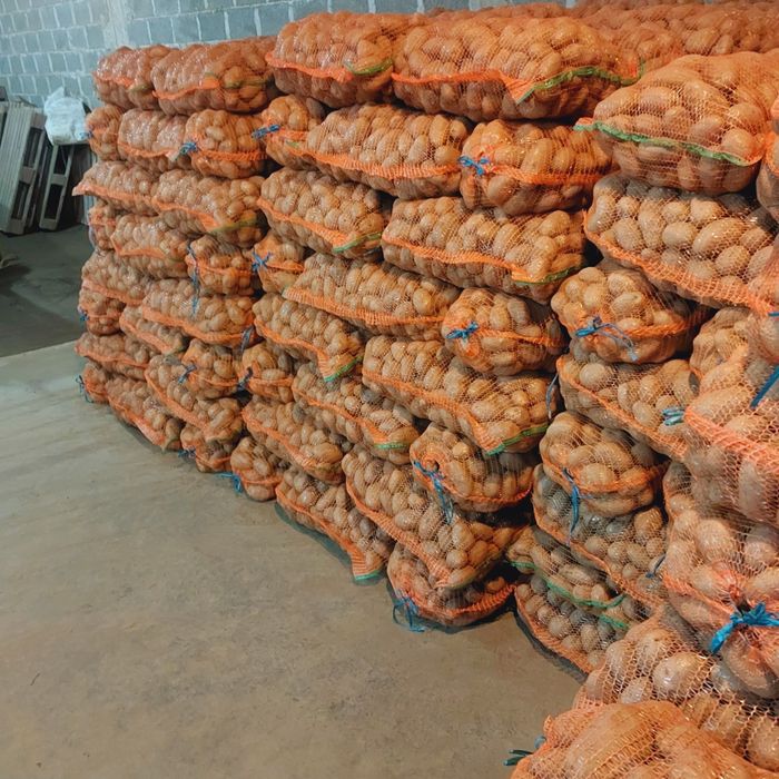 Vand cartofi consum  albi ambalați recent