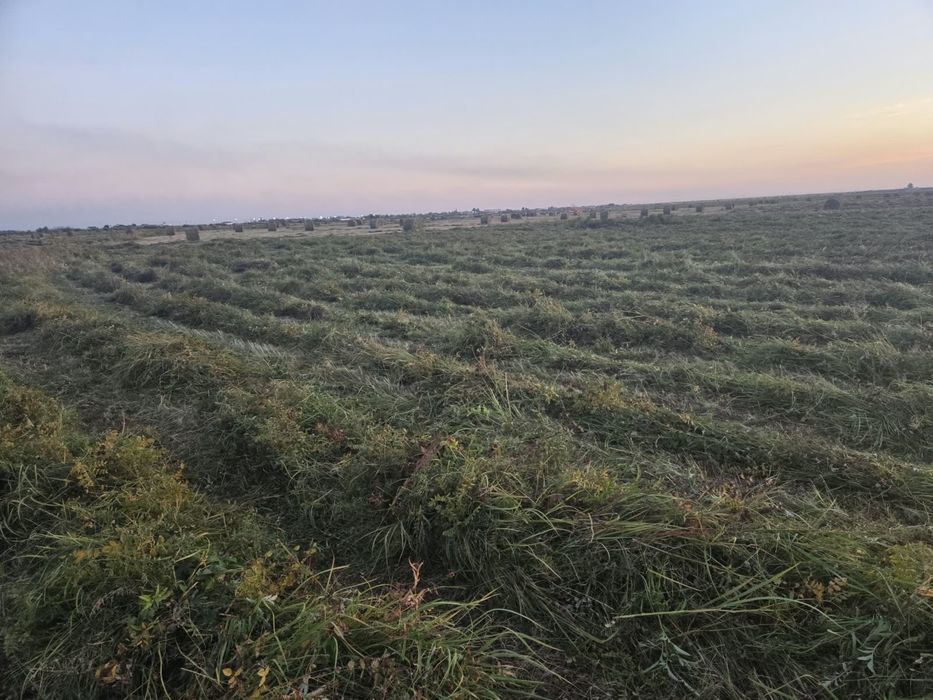 Сено Рулон