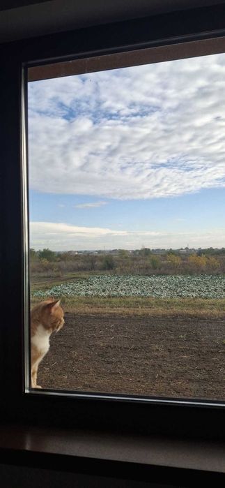 Casa perfecta 3 camere 110 mp, mobilata, teren 400 mp, rasarit si apus