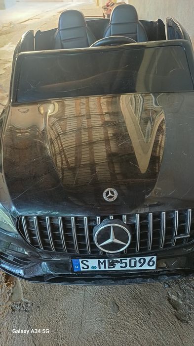 Moshina pultli bolaniki