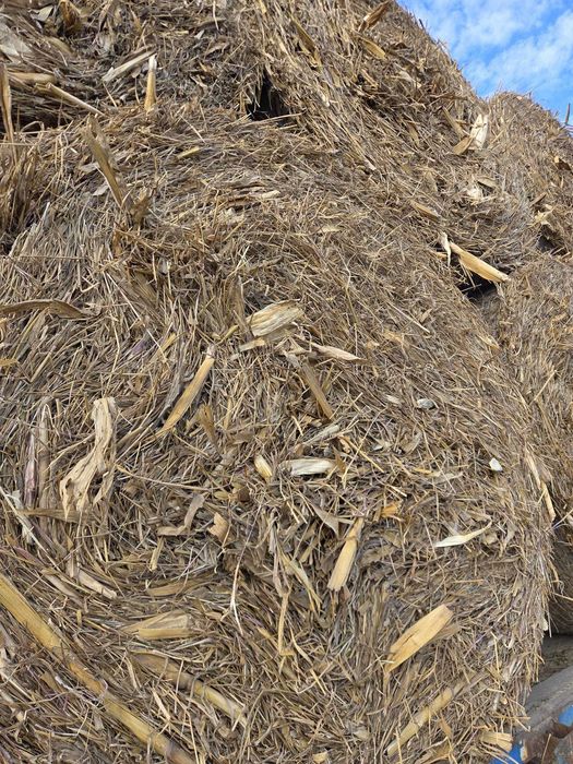 Vând  baloti de tulei