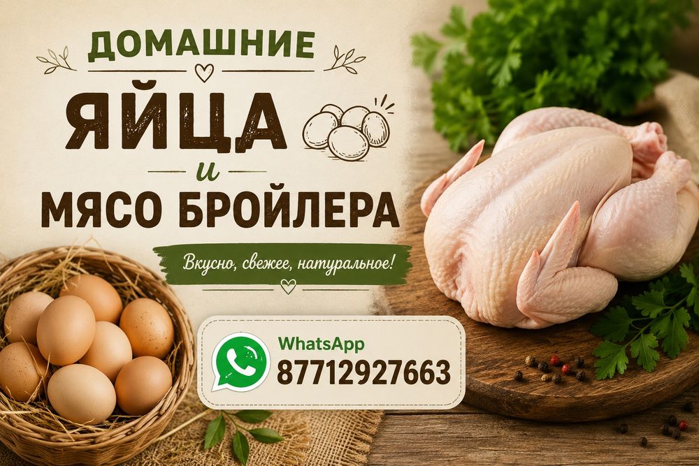 Мясо домашнего бройлера
