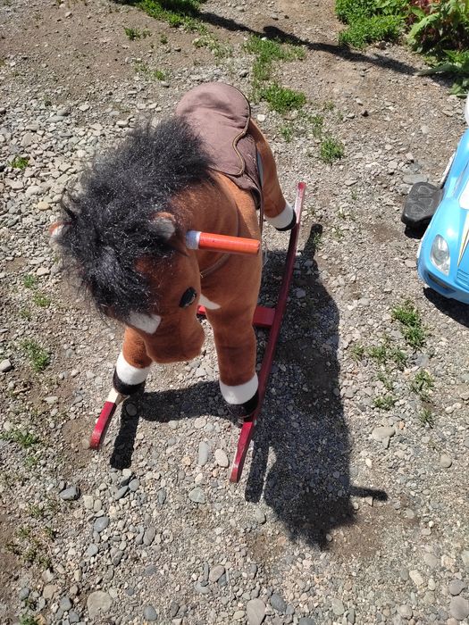 Манеж, лошадка, талкар