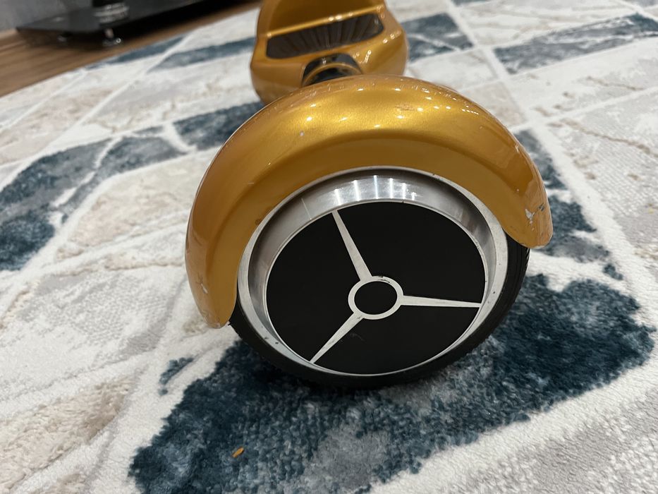 гераскутор золотой