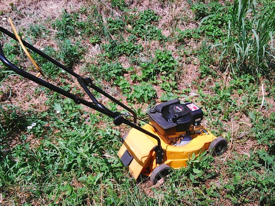 Бензинова косачка за трева с кошница.