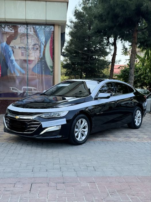 Other Malibu 2018 — 3