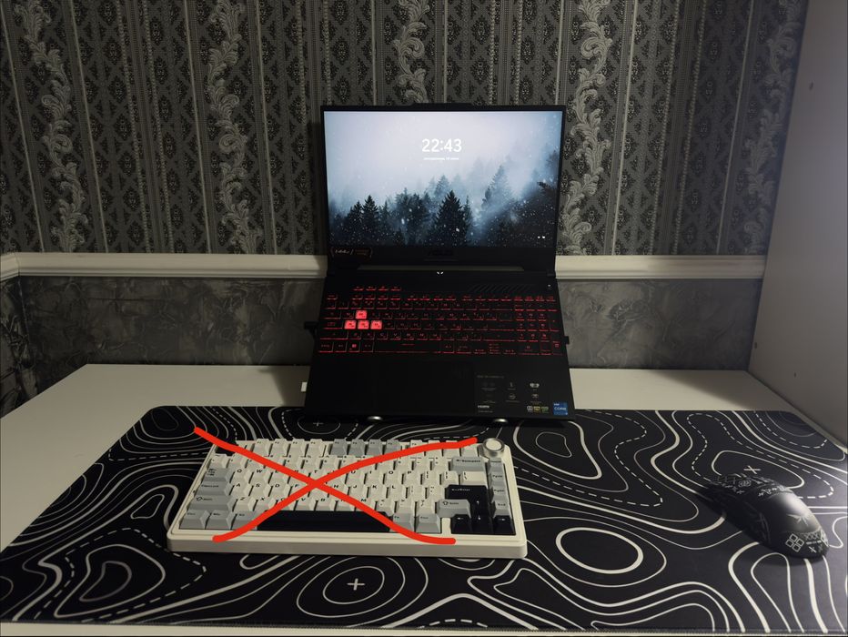 Продаю сетап с ноутбуком: ASUS TUF GAMING F15 / VGN F1 MOBA