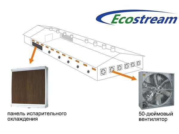 Вытяжные вентиляторы для птицефабрик и теплиц