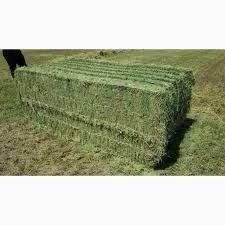 Beda press 80.90 sm 1 metrlik