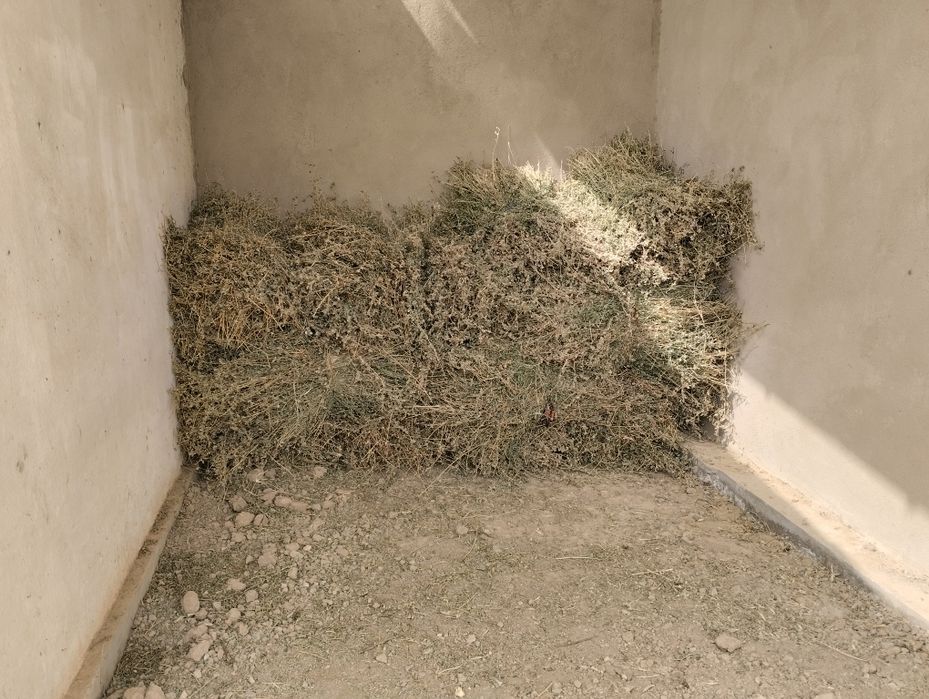 Beda sotiladi,yaxshi holatda