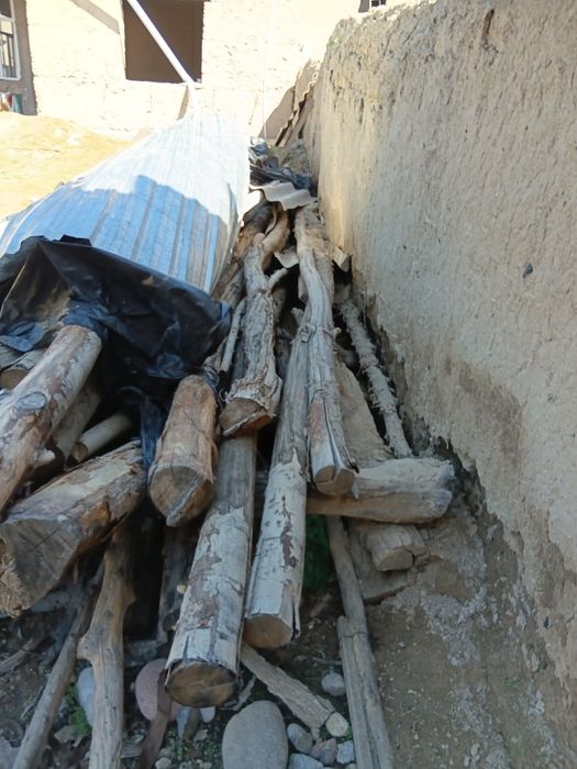 Terek sotiladi eskiro