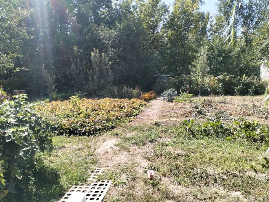 Продам дачу 6 соток