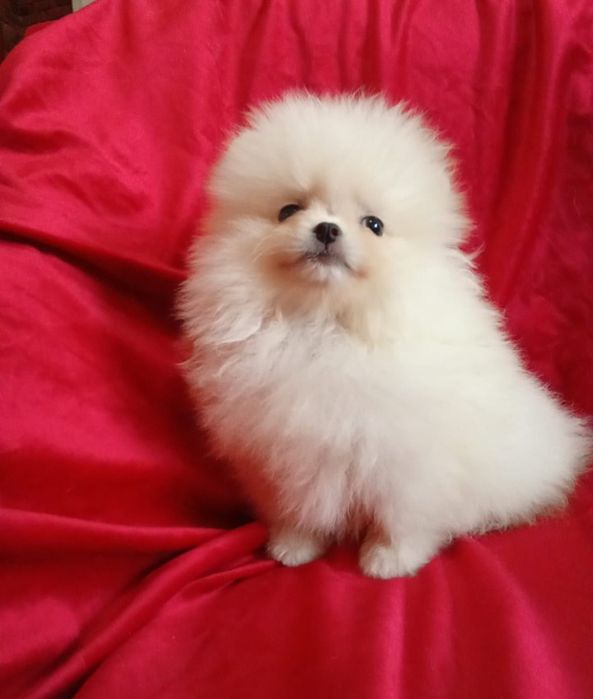 Счастье на ладошке