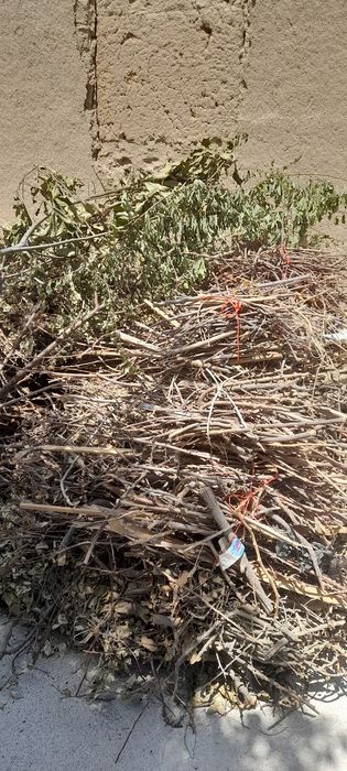 Утинлар дераза эшиклар бор срочно сотилади.