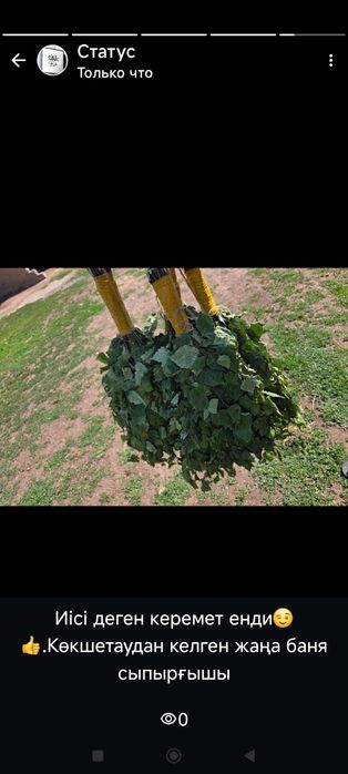 Продаю веник.Жаңа сыпырғыш сатамын