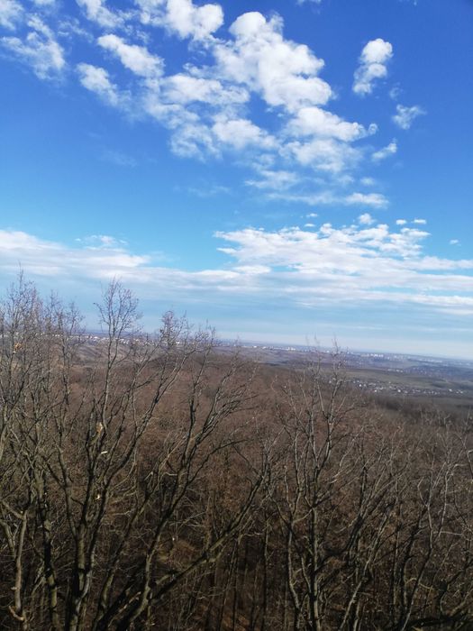 Terapie Alternativă/ Vindecare