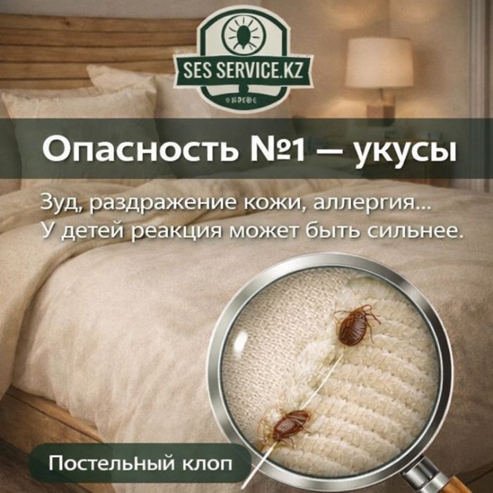 Скидка | Уничтожим клопов и тараканов | Дезинсекция