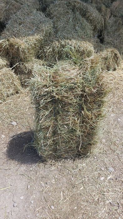 baloti de paie , fin si lucerna - transport