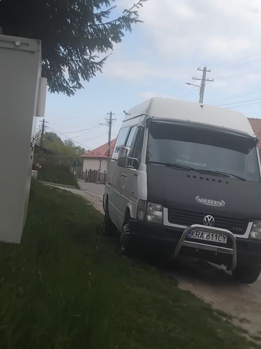 Vând elte de Polonia cu acte  valabile