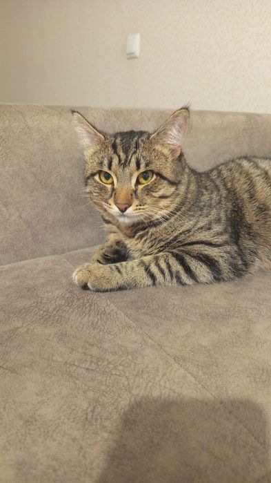 Отдам в хорошие руки