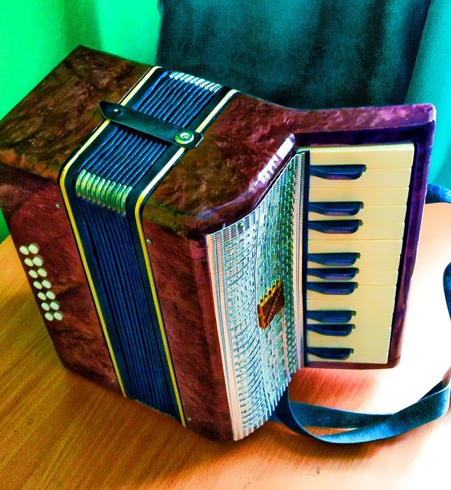 Аккордеон Малыш А-23 # 14-1