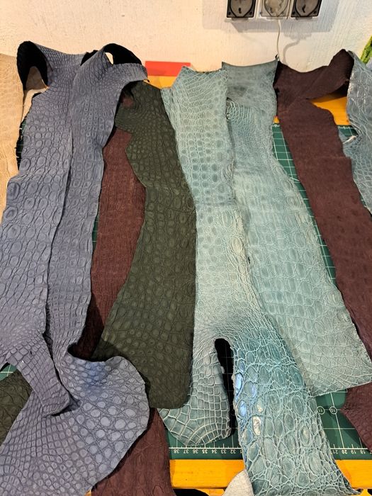 Piele exotica, crocodil si piton