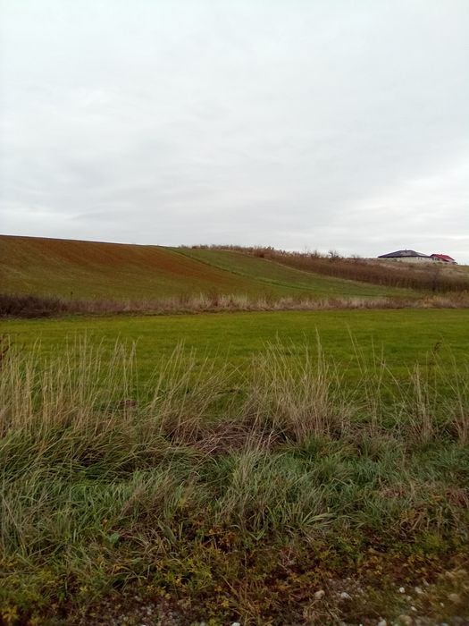 Vând 1 ha Les+ Nojorid cartier nou