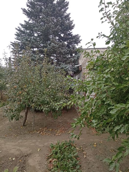 Продам дачный участок