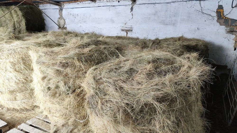 Продаётся сено в рулонах