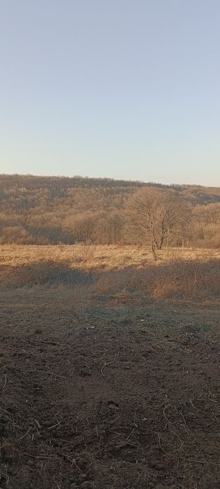 Продава се Парцел в с. Константиново, Област Варна - 1300 кв.м за 100 €/кв.м - Снимка #1