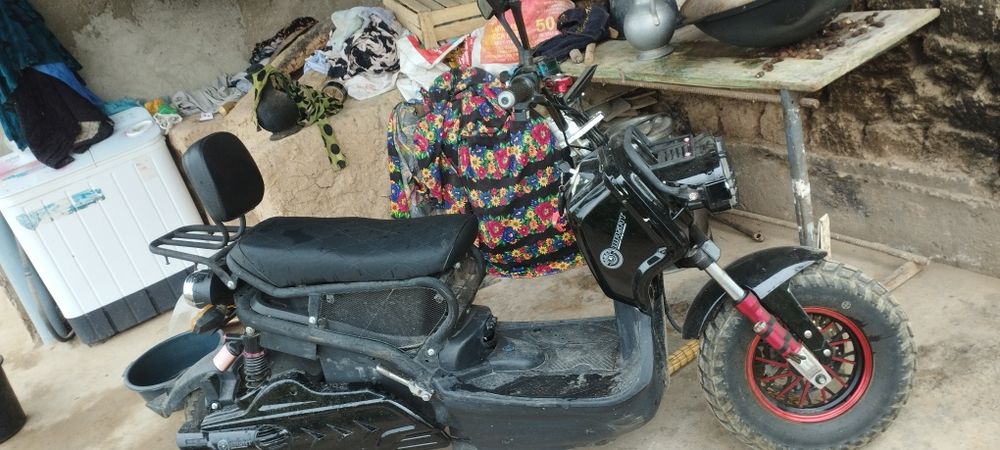 Kafolat bilan yurishiga gap yu