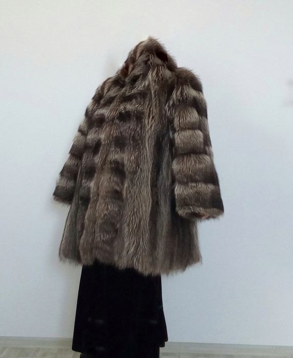 Италия, енот, новая