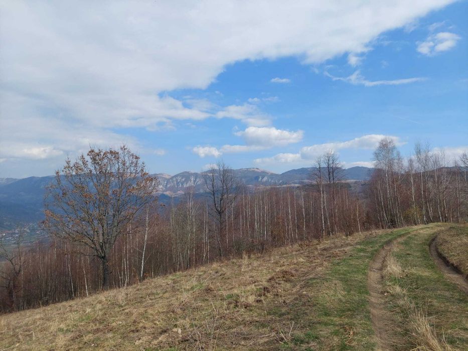 Teren extravilan în comuna Sălciu, județul Alba