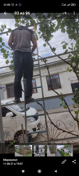 Uzumlarni xomtok qilaman