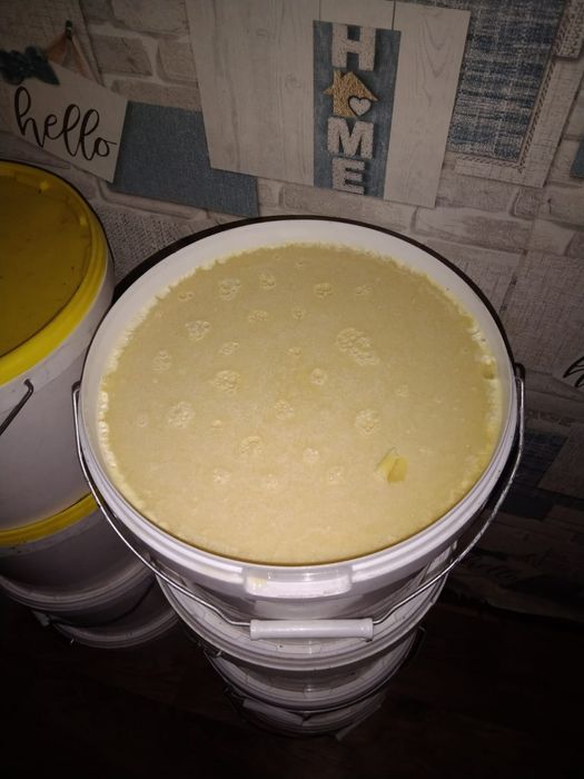 Продаётся мёд с Катон-Карагая