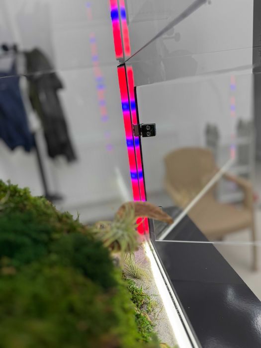 Terariu cu plante aeriene, mușchi si licheni stabilizați LED