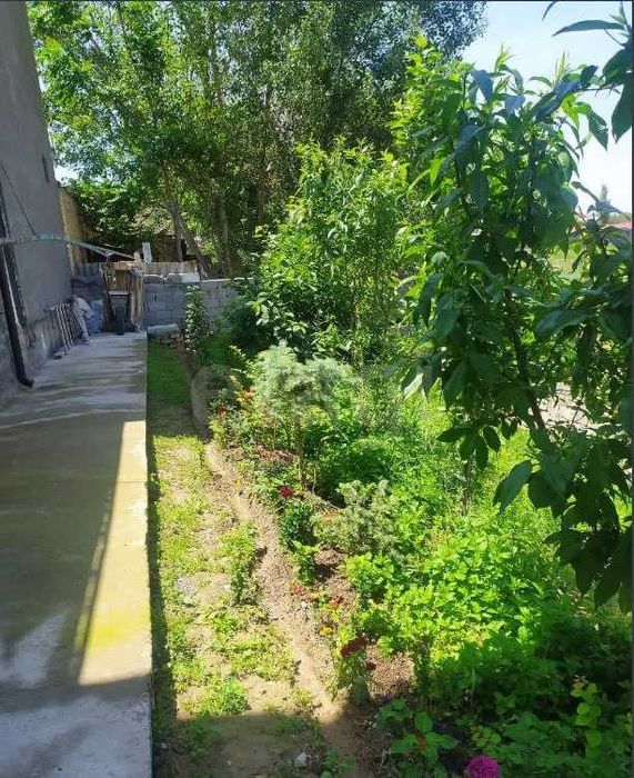 Продам два дома на участке 5 соток в Лимонарии.Кибрай