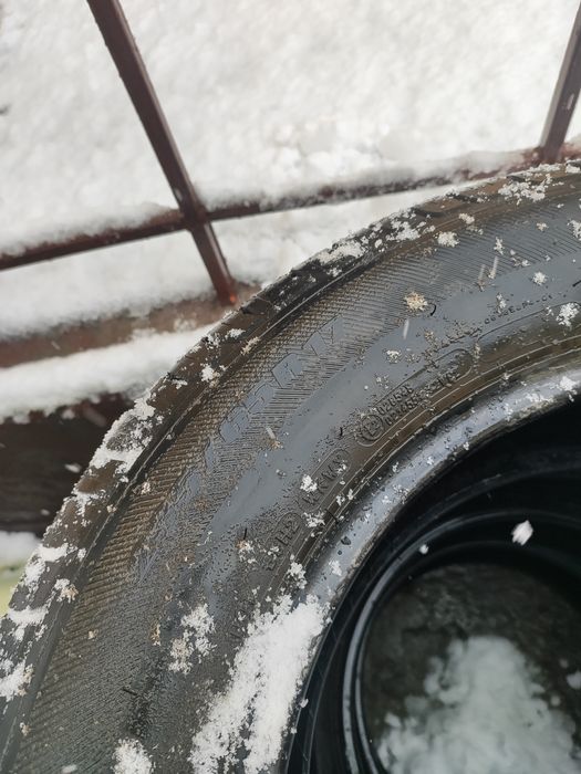 Мишлен летние шины