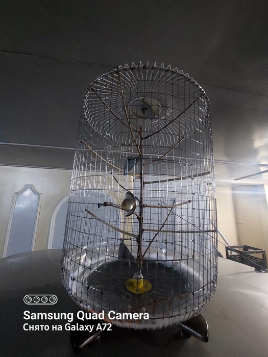 Qafas kanareka totilar uchun