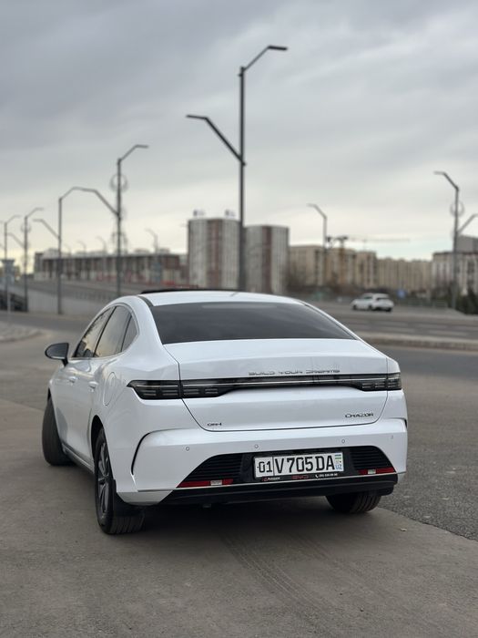 Chazor 2024 Oq 2Pozitsiya