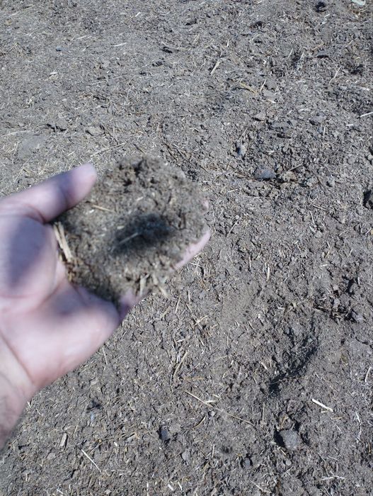 Qoplangan go'ng/копли гунг