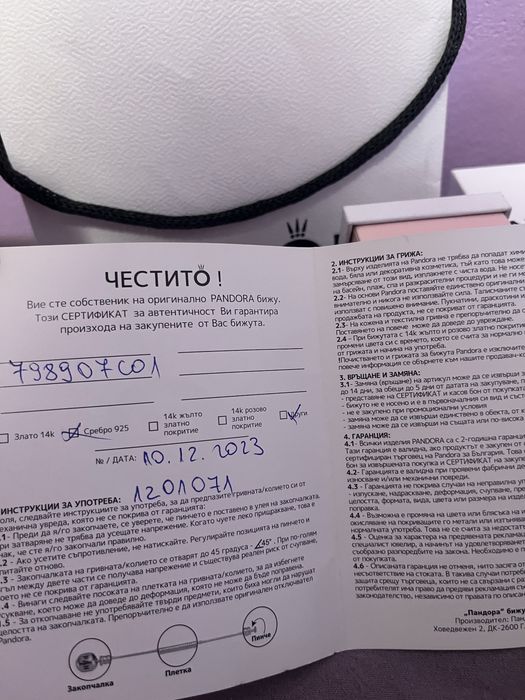 Pandora талисман “Към върха”