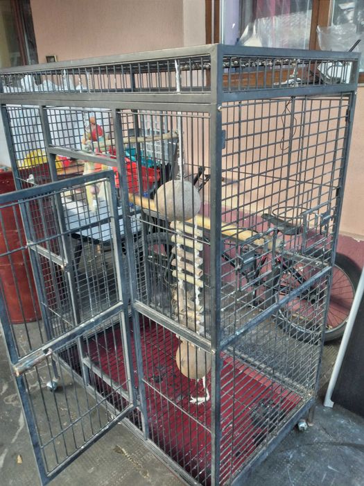 Colivie pentru papagal