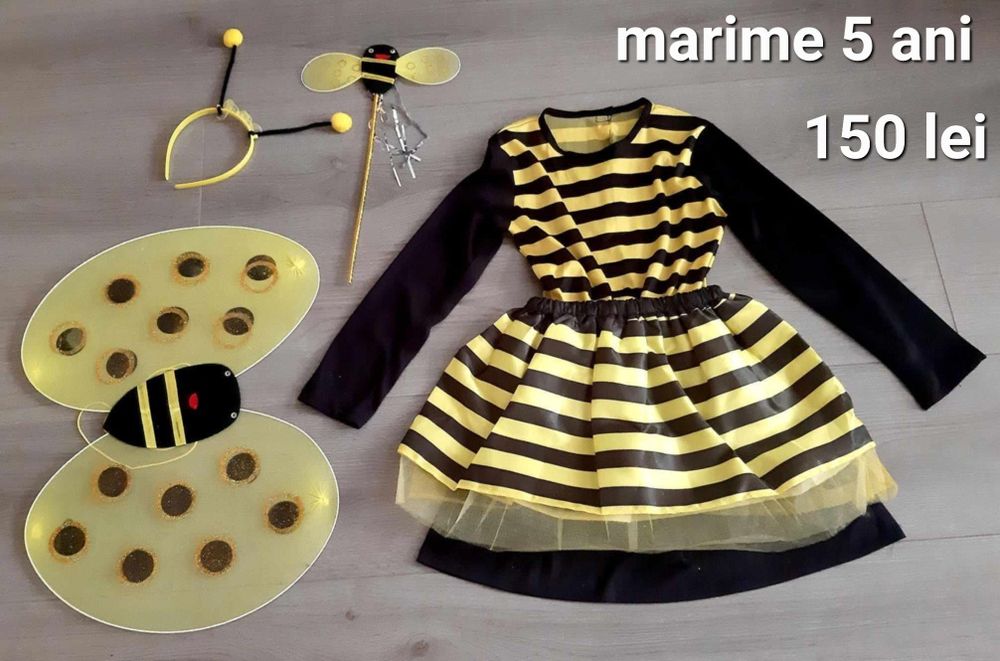 Costume de : albinuțe,  buburuze și fluturași