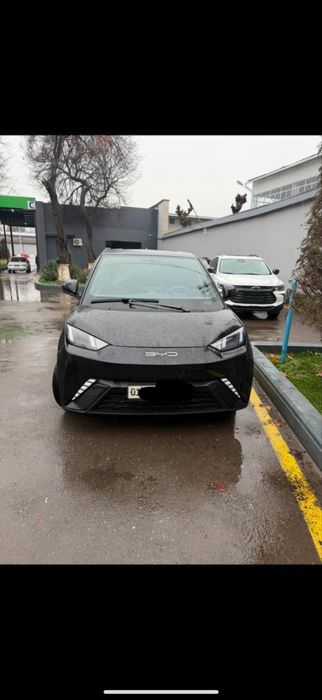 Byd sygull qora rang